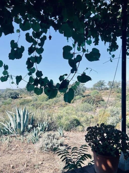 Villa Lavanda By Epoca Suites El Castillo de las Guardas Eksteriør bilde